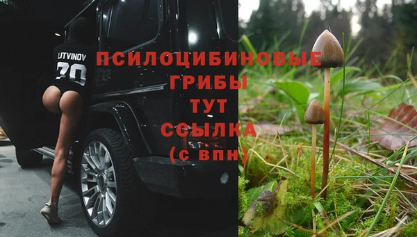 СК Алексеевка
