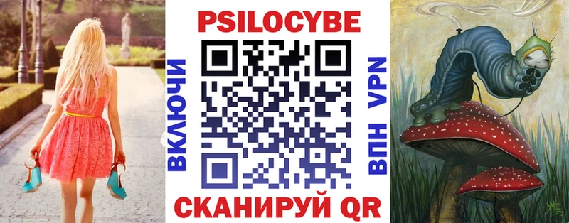 MEGA зеркало  Подольск  Галлюциногенные грибы Psilocybine cubensis  где продают  
