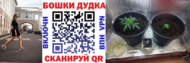 Канабис Ganja  кракен вход  Подольск  купить наркотик 